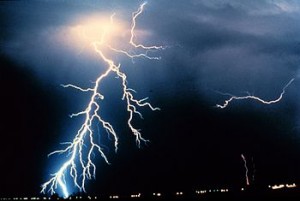 Pets and ThunderStorms | Pet SItting with TLC
