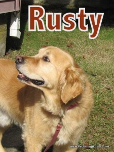 Rusty -Pet SItting With TLC- Wareham, MA