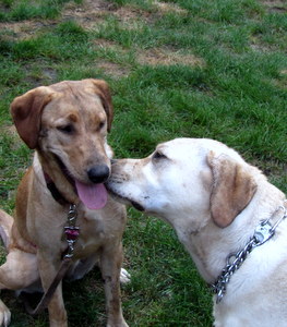 Joey & Bailey after mud-wrestling!!