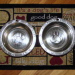 Clean Water Bowls for our 4 legged & feathered friends!