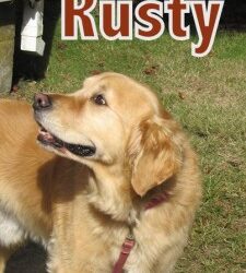 Meet Handsome “Rusty” ~ Marion